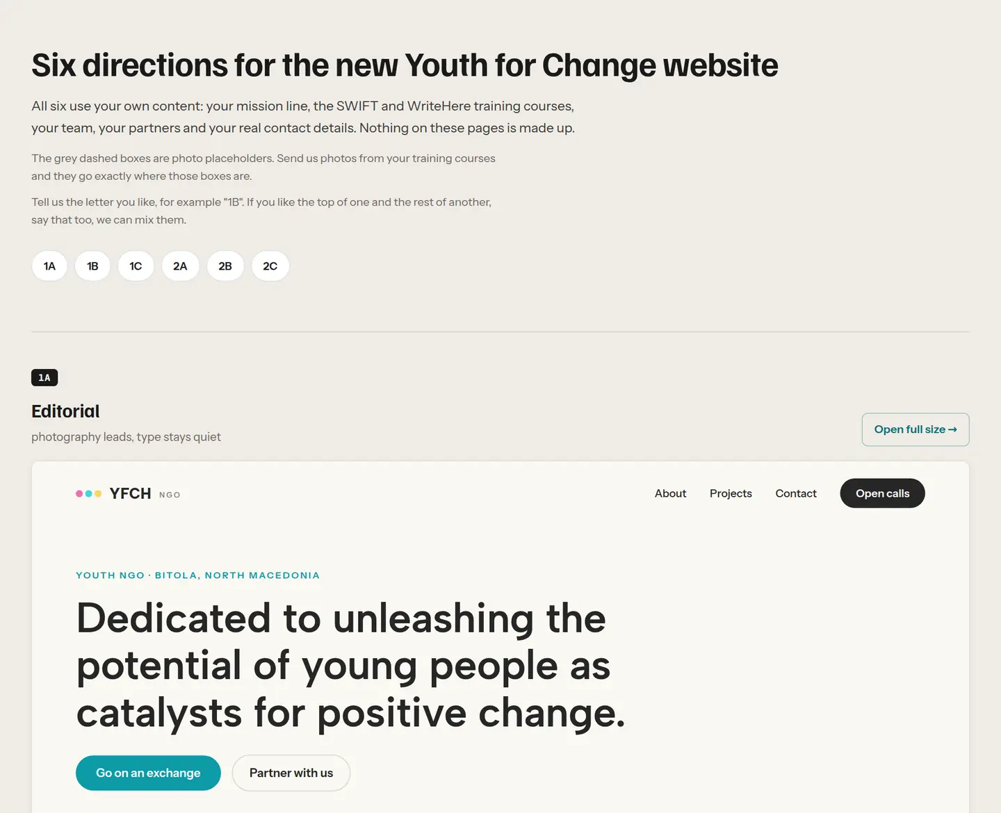 Six homepage directions for Youth for Change on one page